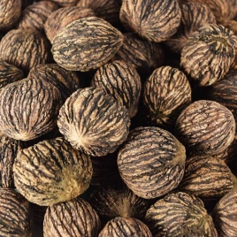 Walnut